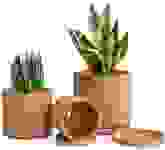 Product image of D’vine Dev Set of 3 Terracotta Pots