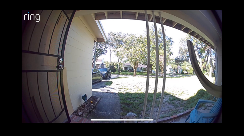 View from the Ring Video Doorbell 3 Plus