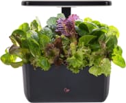 Product image of AeroGarden Harvest 2.0