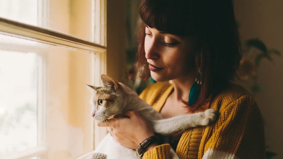 一位妇女抱着一只猫，它望着窗外