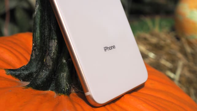 The back case of the iPhone 8 Plus