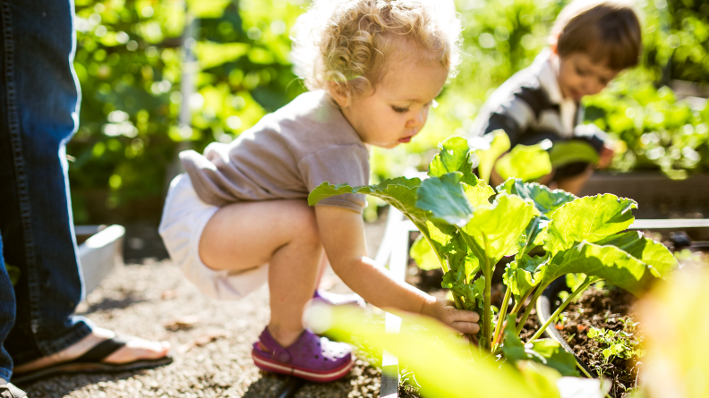 Even little kids can help plant (and harvest) the garden.