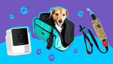 The PetCube Cam, SleepyPod Air pet carrier, and Lead Mate dog leash on a graphic background for Reviewed's Best of Year