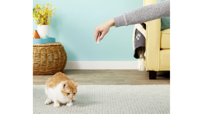 Laser pointer