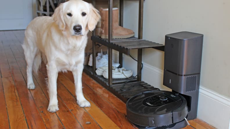 Don't let the sweet face fool you—this one leaves our floors a mess.