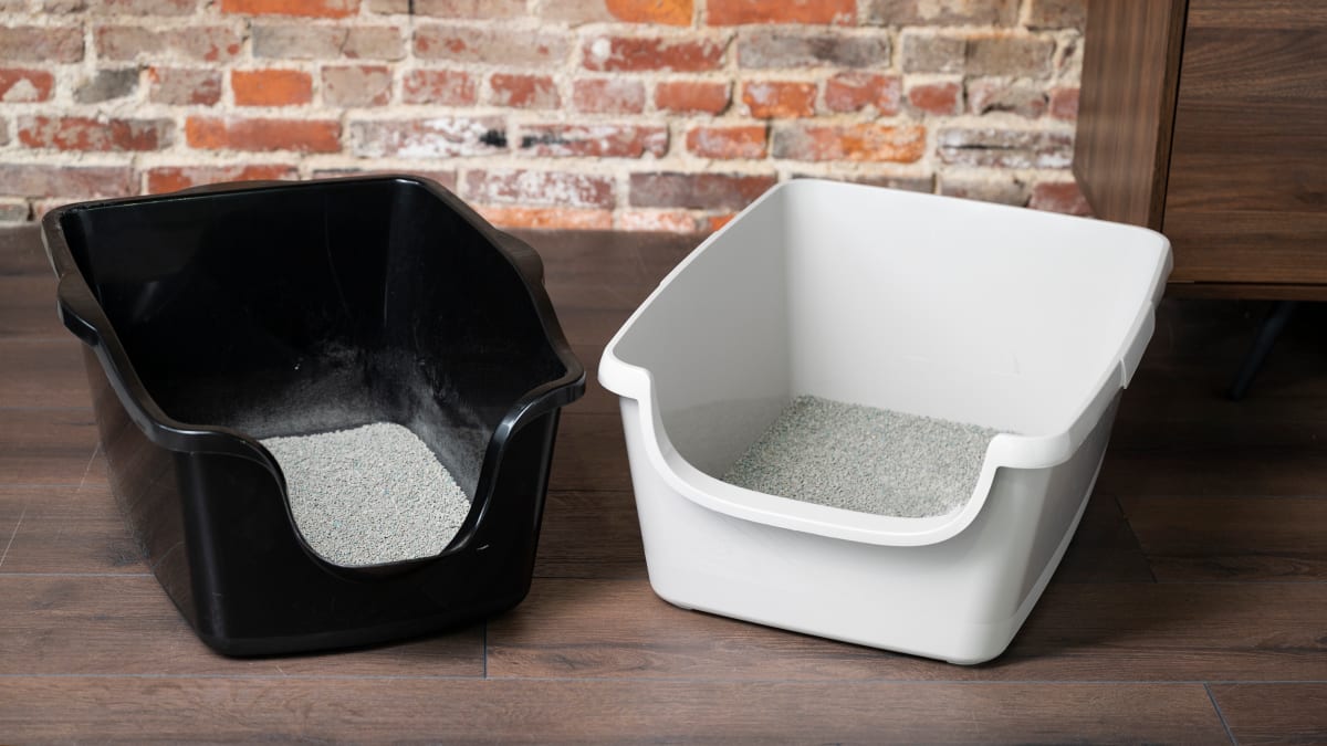 5 Best Cat Litter Boxes to Prevent Tracking in 2024 – tuft + paw