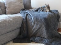 These are the best weighted blankets available today.