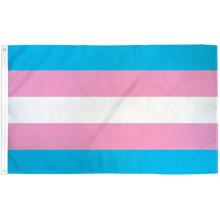 Product image of Transgender Pride Flag