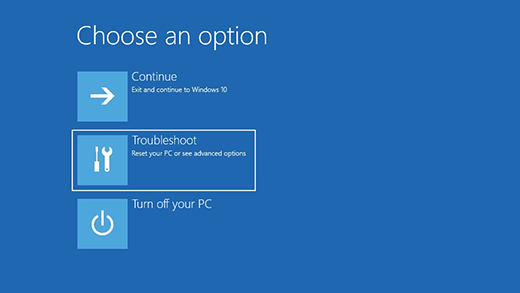 Screenshot of WinRE options screen
