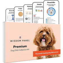 Product image of Wisdom Panel Premium DNA Kit