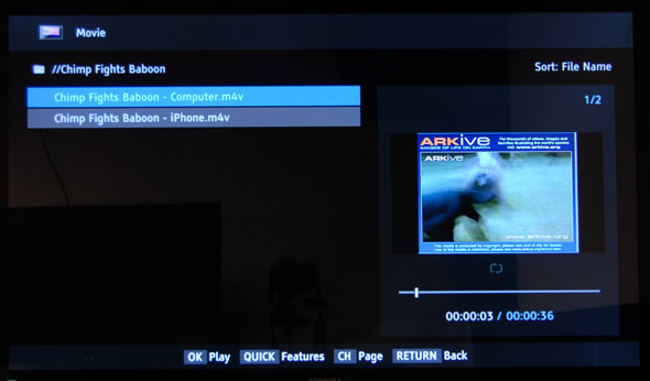 Local Media Playback 1 Photo
