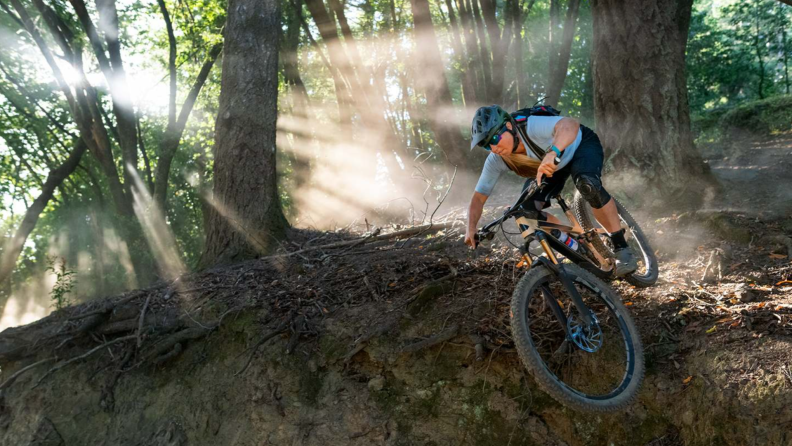 Person biking through forest.