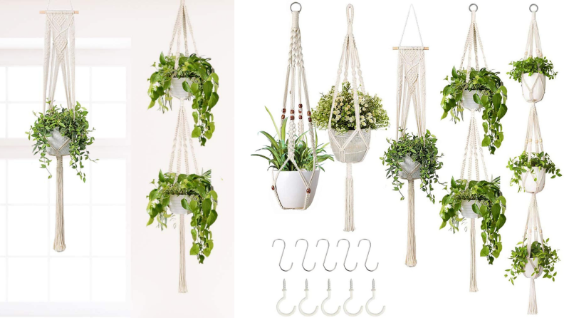 An assortment of white macrame hanging pots house plants.