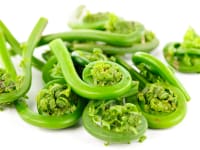 fiddleheads