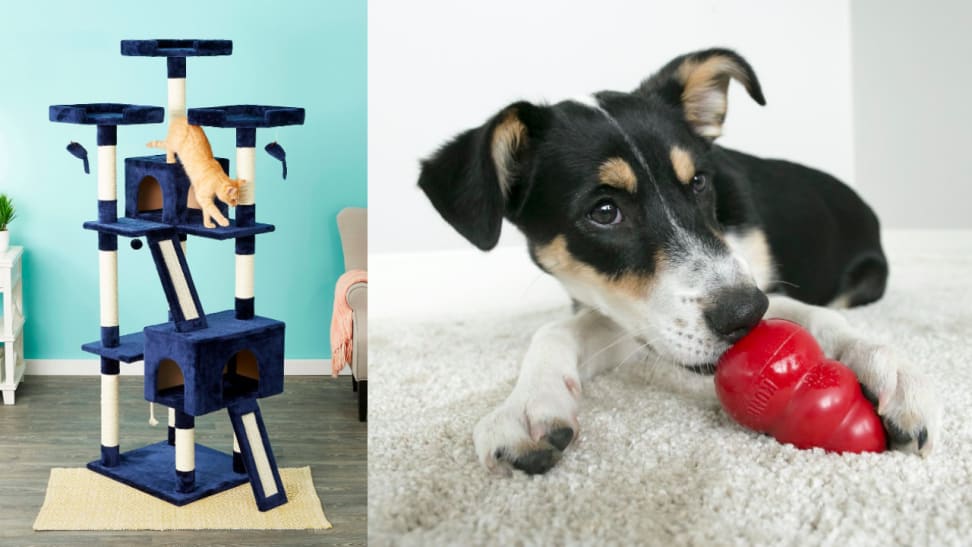 Chewy shoppers can't get enough of these amazing pet products.