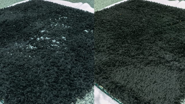 Before and after