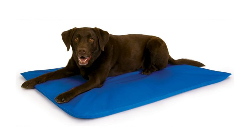 An image of a dog on a cooling bed.