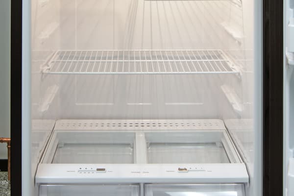 The GE GIE16DGHBB's fridge interior uses a two-tier shelf to accommodate items of varying heights.