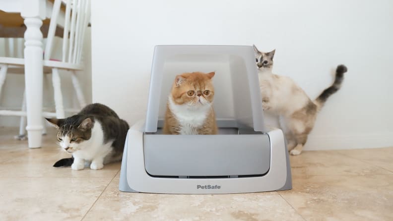 petsafe automatic litter box manual