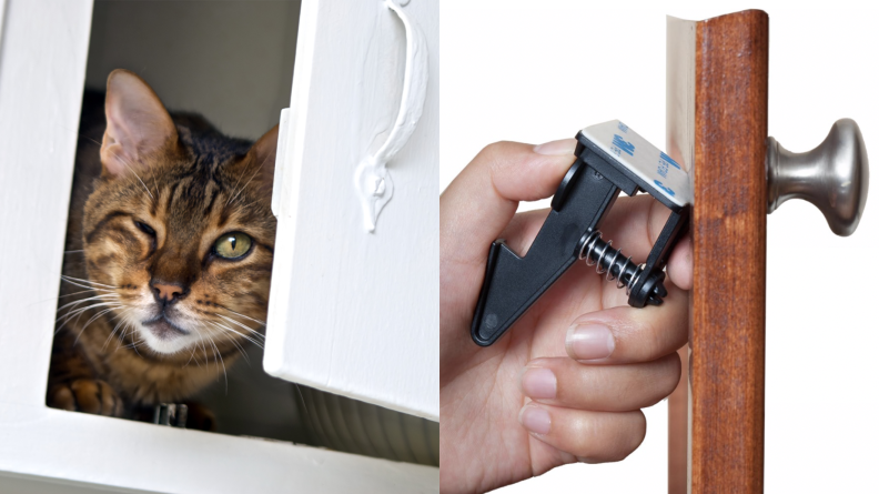Cat in cabinet vs. cabinet lock