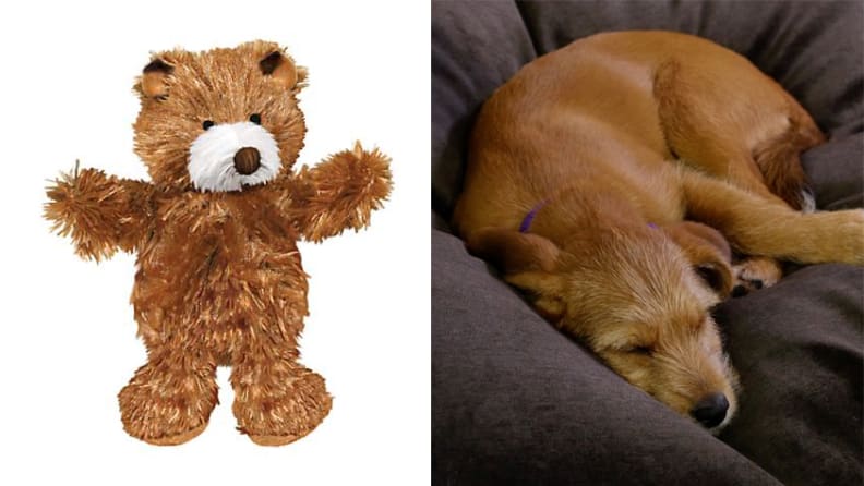 Kong Teddy Bear Dog Toy