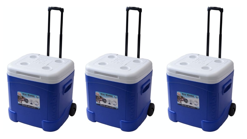 The most popular coolers on Amazon - Igloo Ice