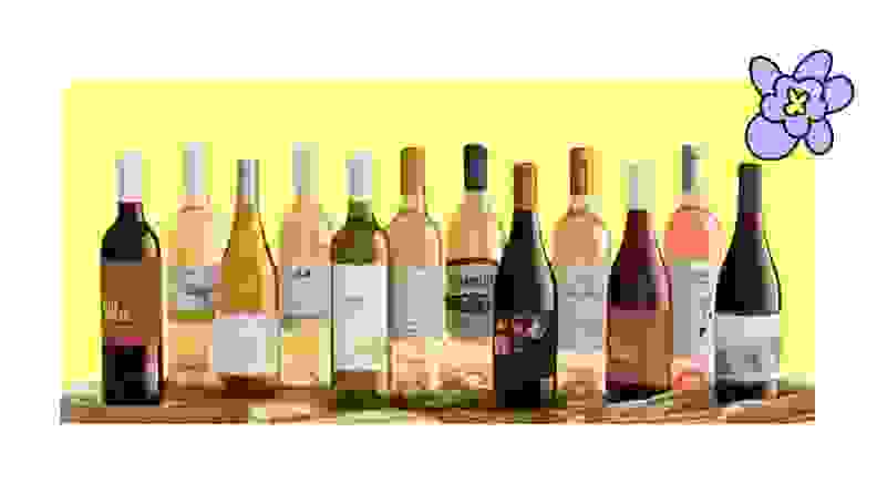 Twelve bottles of different red white and rose wine on a yellow background
