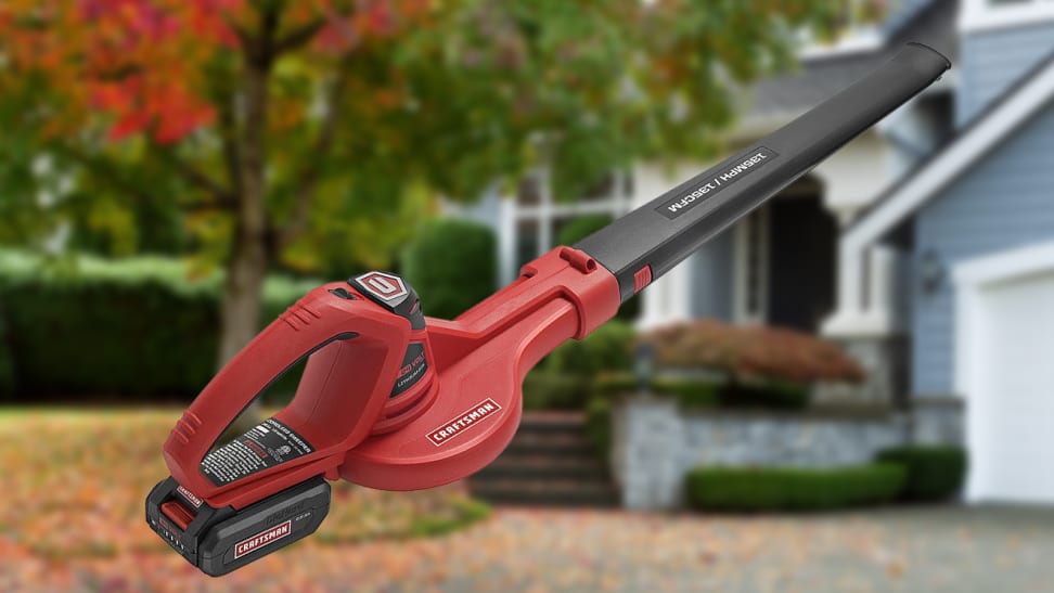 Ditch the rake this fall—this cordless leaf blower is at its lowest price ever