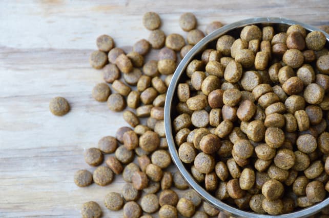 Dog food