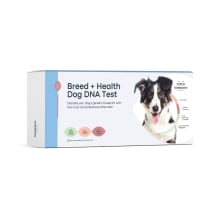 Product image of Basepaws Breed + Health Dog DNA Test