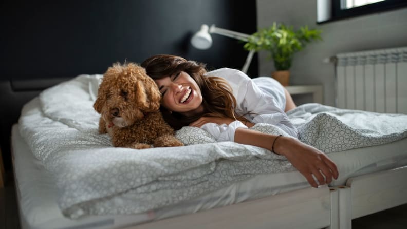 Should you let your dog or cat sleep in bed with you? - Reviewed