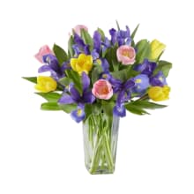 Product image of Fanciful Spring Tulip & Iris Bouquet
