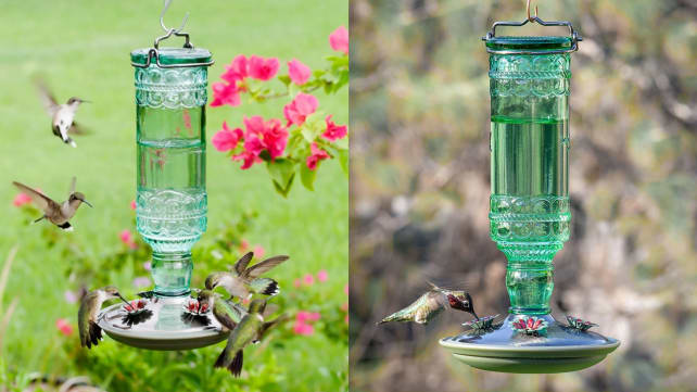 Hummingbird Feeder
