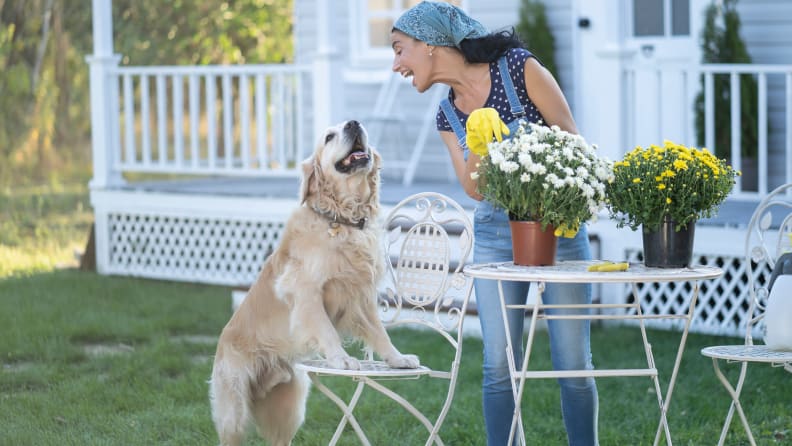 gardening