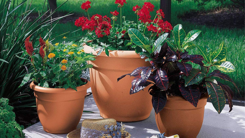 Bloem Self-Watering Planter