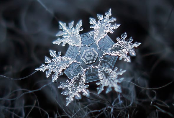 snowflakeB_web.jpg