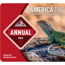 Product image of Annual National Park Pass