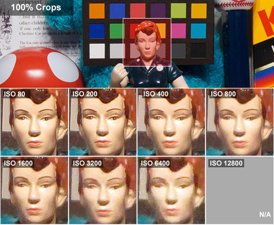 DCI-ROSIE-CROPS.jpg