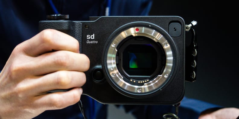 The sd Quattros use the same SA mount as all Sigma DSLRs, meaning they have access to all the same glass.