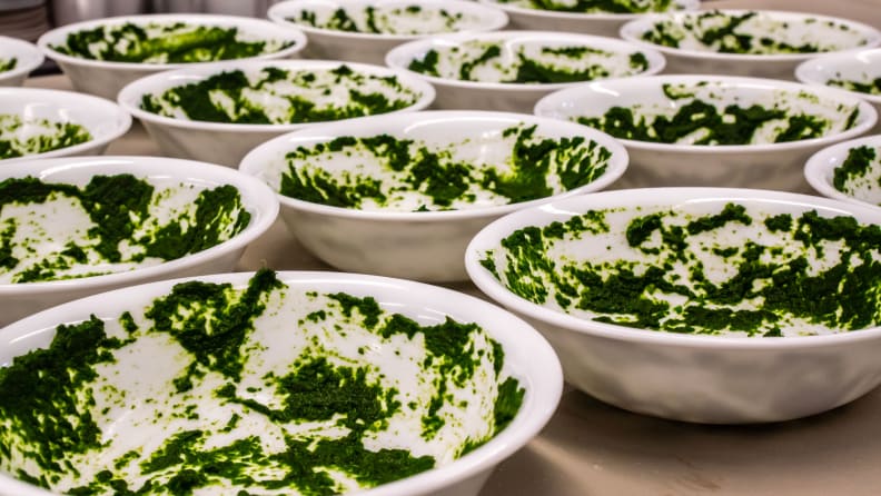 An array of bowls stretches beyond the frame, all smeared with pureed spinach.