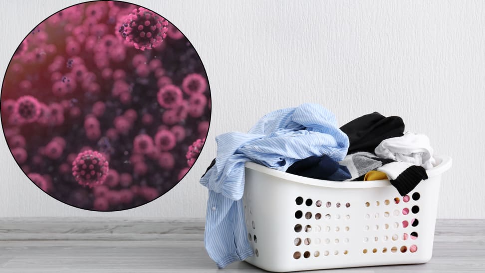 Can the COVID-19 coronavirus live on your clothes?