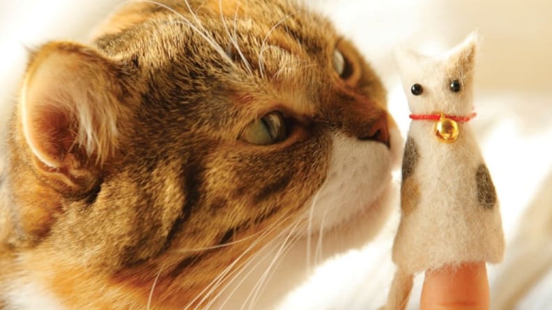 An image of a cat sniffing at a cat-shaped finger puppet.