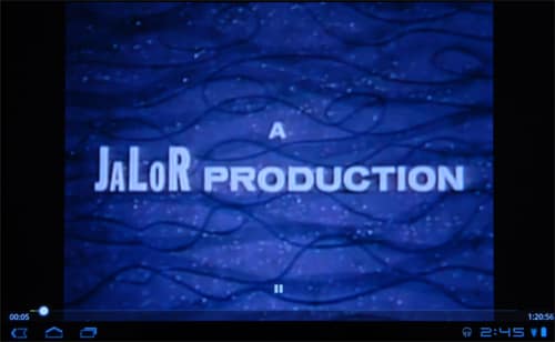 Video Controls Image