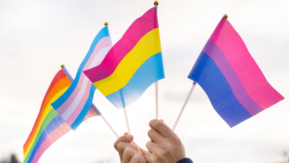 Two hands holding up mini Pride Flags (from right to left: bisexual flag, pansexual flag, transgender flag, and rainbow flag)