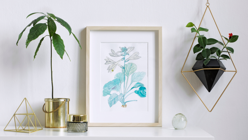 Plants and a framed pastel illustration sit on a shelf.