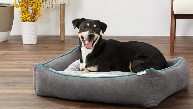 This comfy bed is great for dogs and cats of all ages.