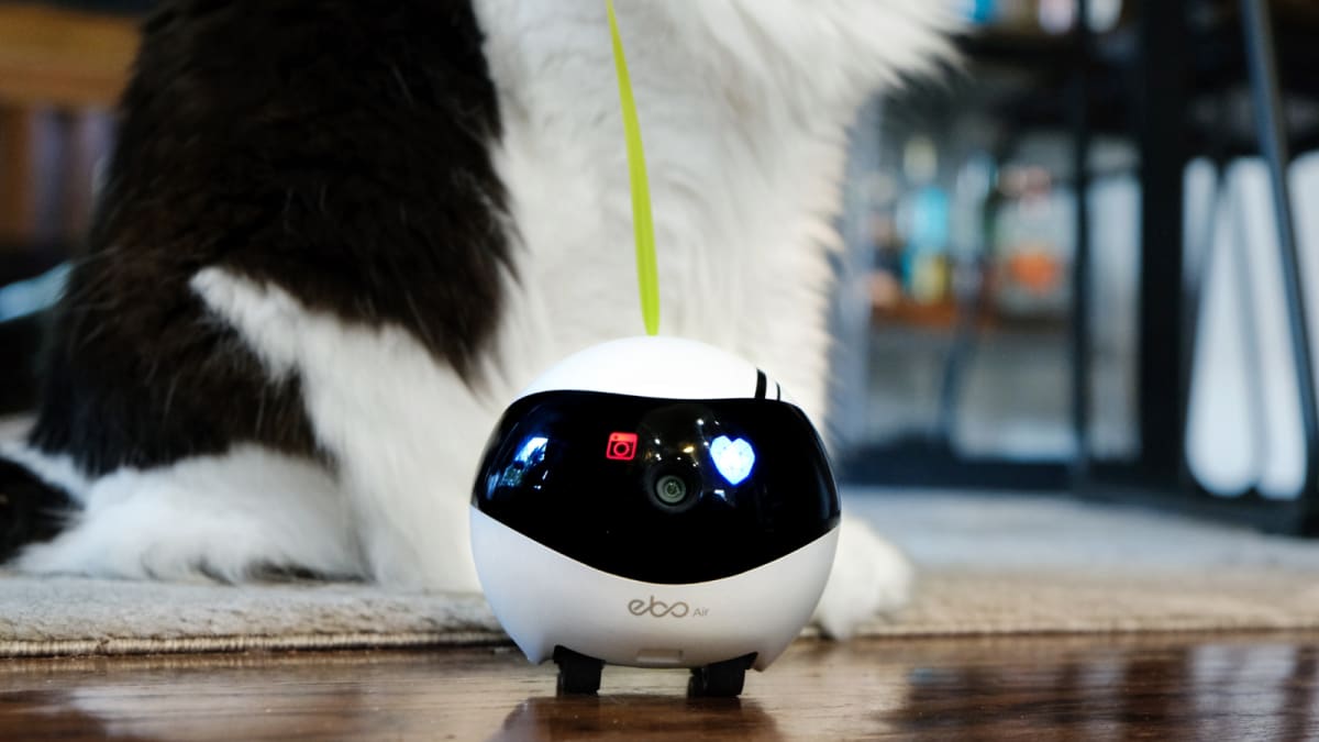 Enabot EBO Air review: The perfect pet companion robot for your furry  friends