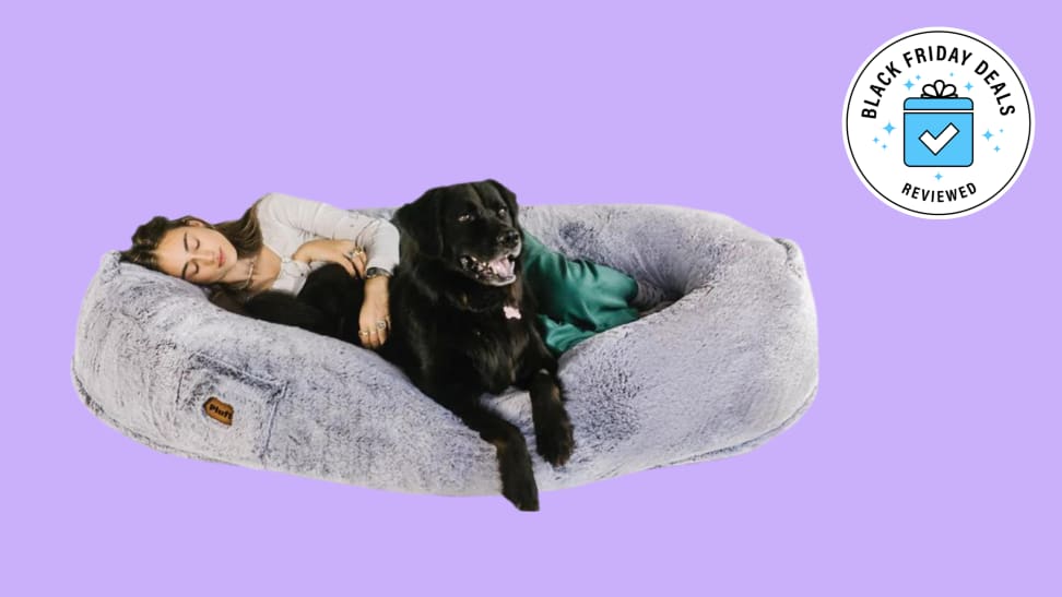 Person sleeping in Plufl dog bed with black dog.