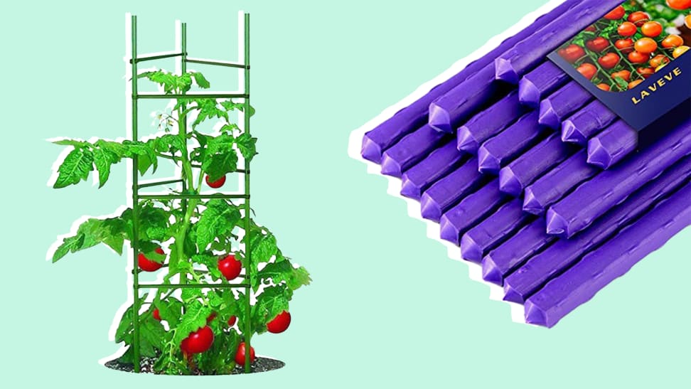 A green tomato fence on the left partially in a pot. A collection of purple stakes on the right. Both against a mint green background.