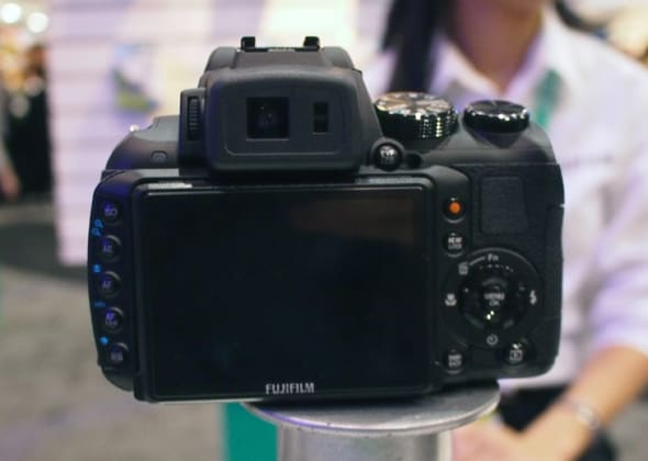 FI Back Photo